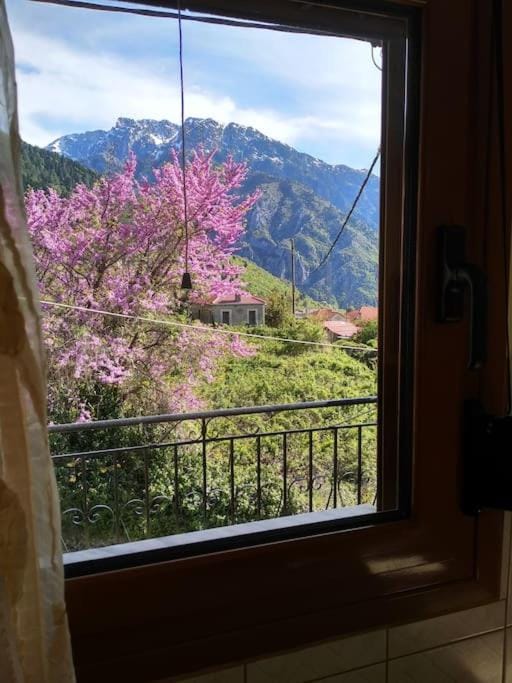 Spring, Natural landscape, View (from property/room), Mountain view