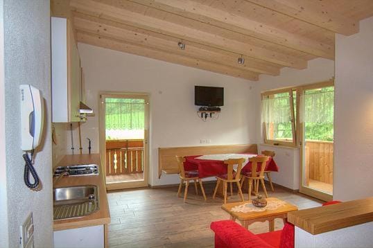 TV and multimedia, Balcony/Terrace, Kitchen or kitchenette, Living room, Seating area, Dining area, minibar