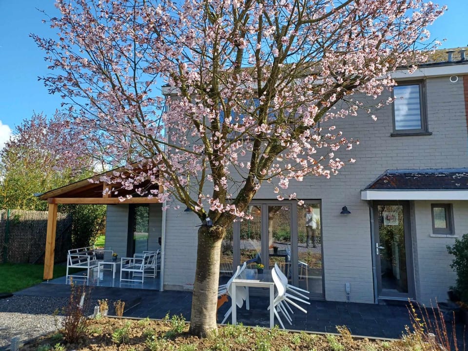 Property building, Spring, Garden