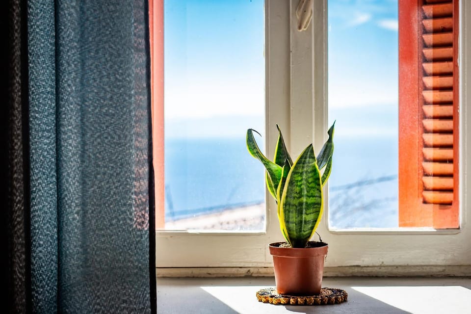 Sea view