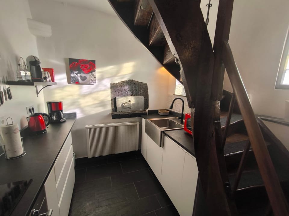 Coffee/tea facilities, Kitchen or kitchenette, Kitchen or kitchenette, dishwasher, minibar, pet friendly, stove, toaster