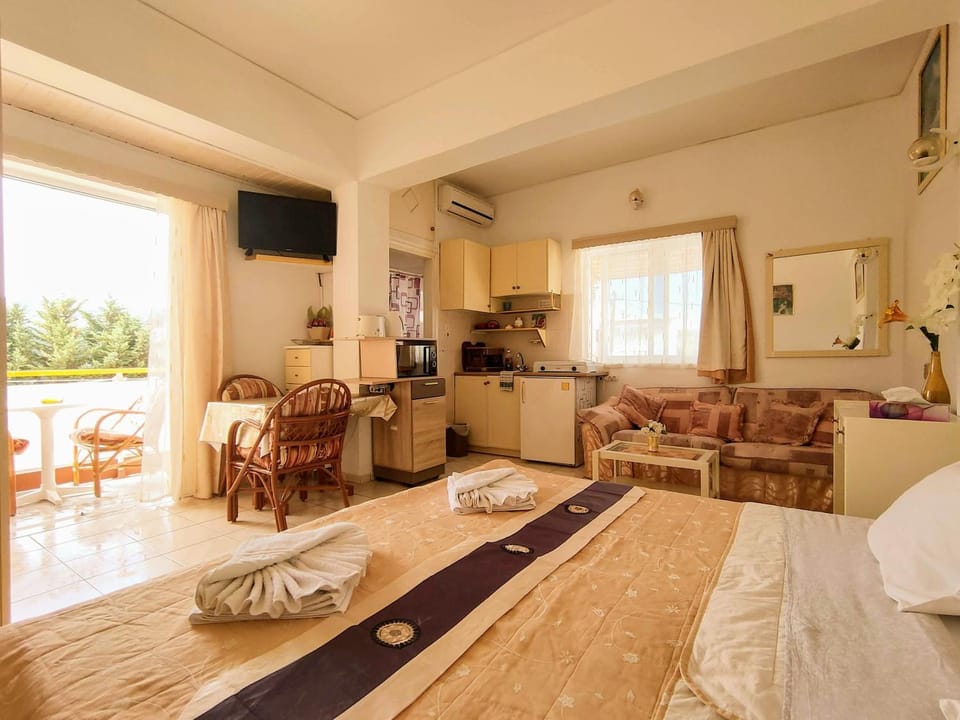 Communal lounge/ TV room, Bed, TV and multimedia, Kitchen or kitchenette, Living room, Photo of the whole room, Seating area, Dining area, Evening entertainment, Bedroom, fireplace, minibar, towels, air conditioner