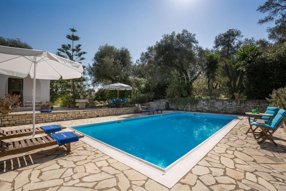 Patio, Day, Garden, Garden view, Pool view, Swimming pool, sunbed