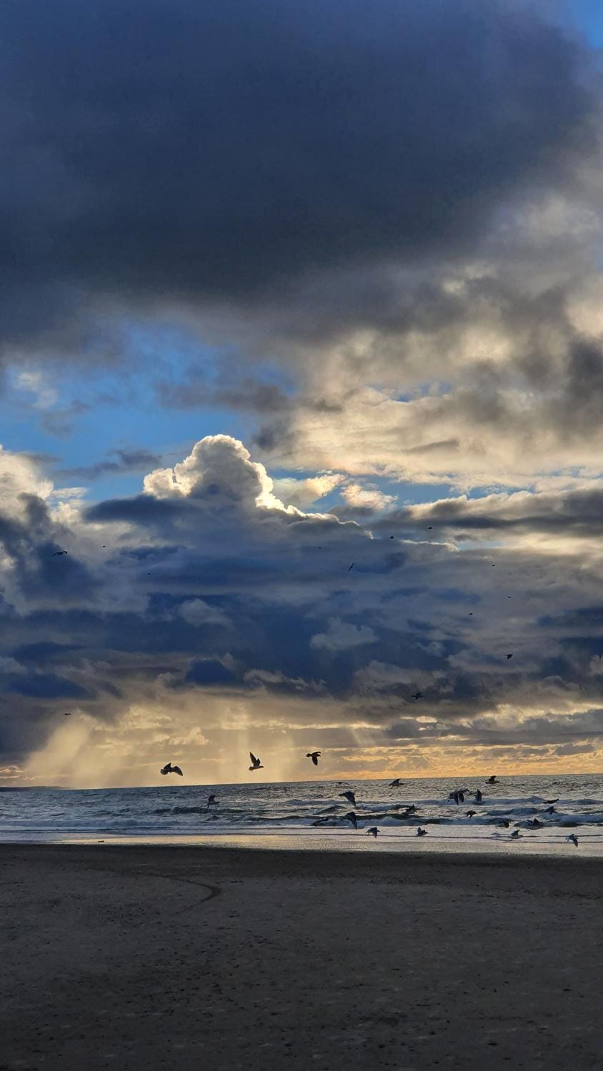 Centralt by hus Blokhus-Hune til 10 pers privat Gårdhave House in Blokhus