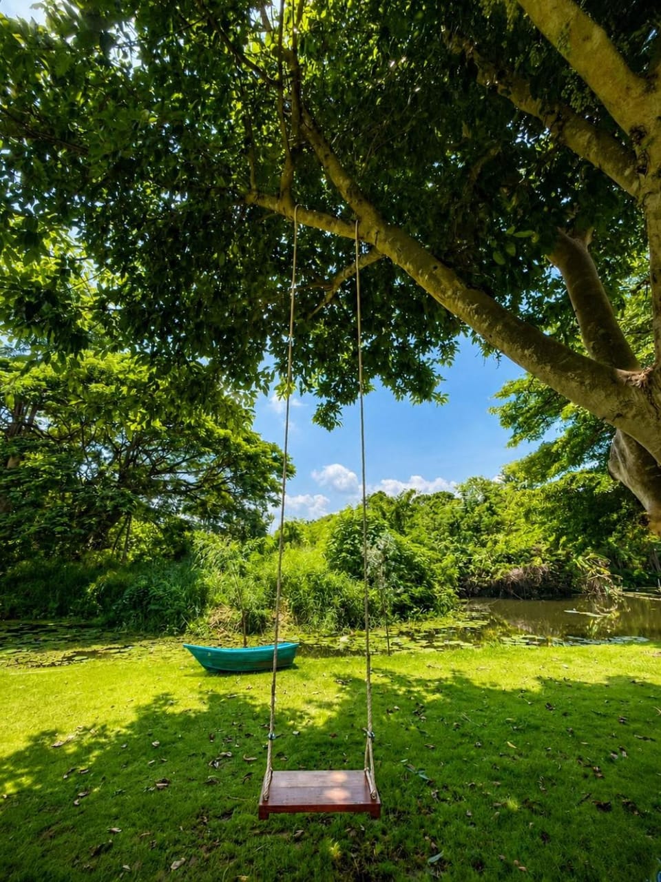 Natural landscape, Garden, Garden view