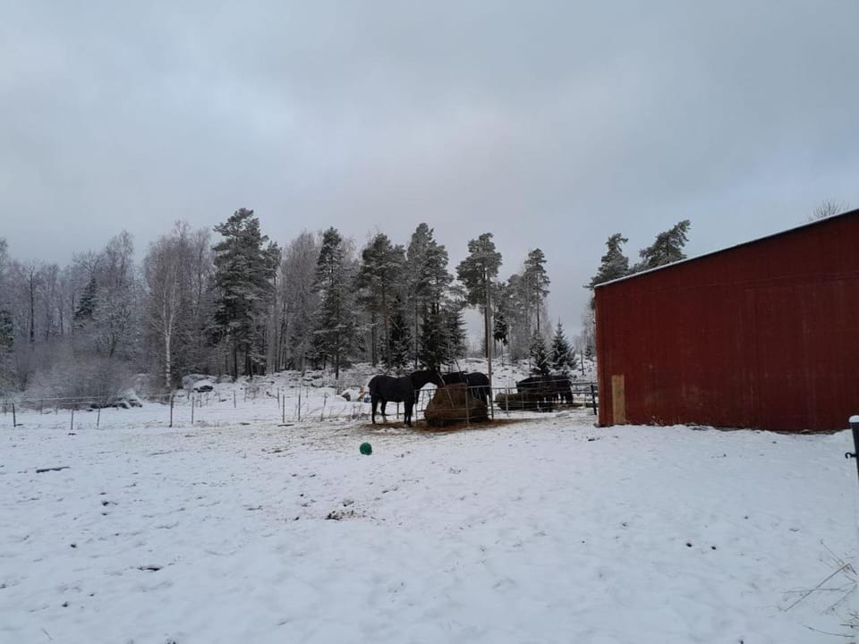 Lotta´s Cottage House in Stockholm County