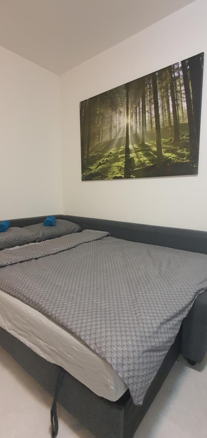 Bed, Living room