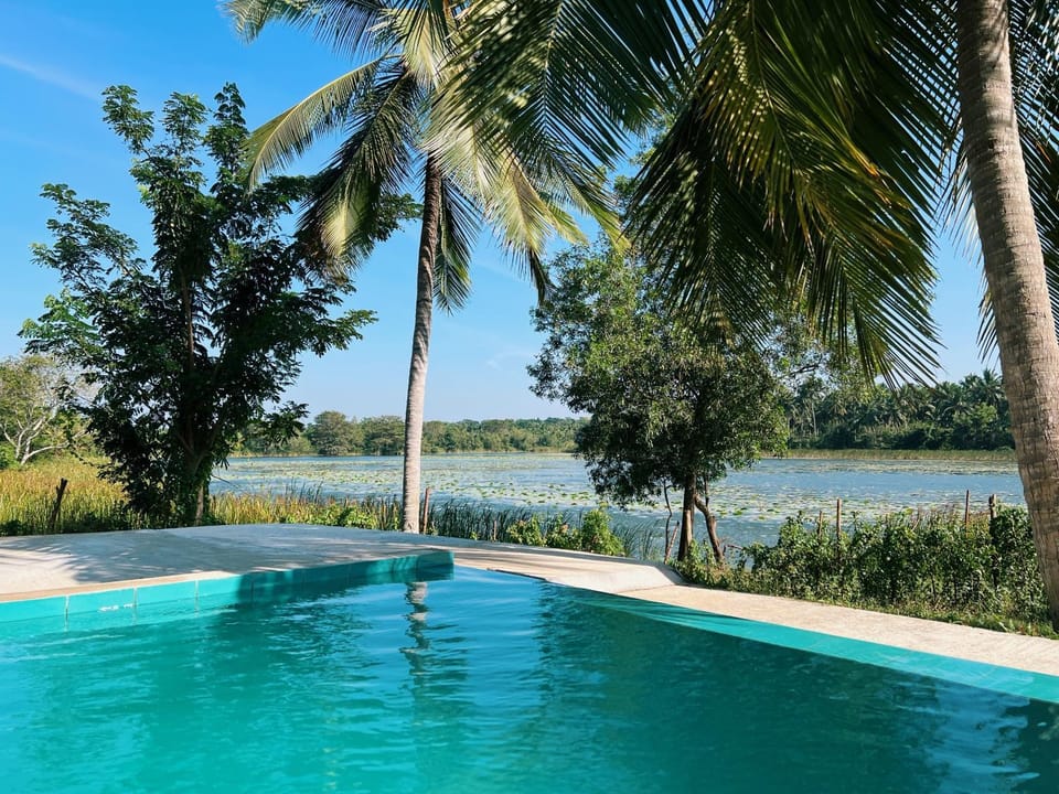 Day, Natural landscape, Garden, Garden view, Lake view, Pool view, River view, Swimming pool, Swimming pool