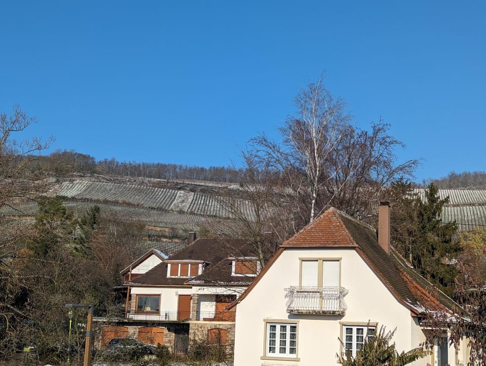 View (from property/room)