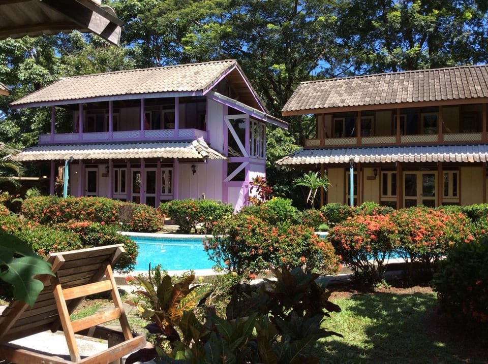 Property building, Garden, Garden view, Pool view, Swimming pool, sunbed