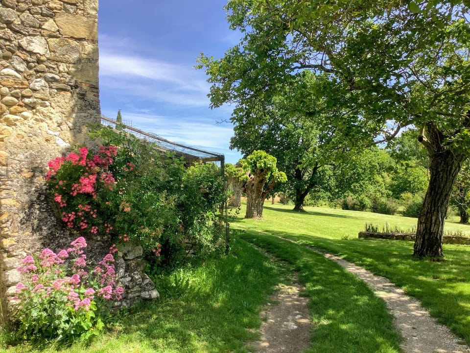 Spring, Day, Garden, Garden view