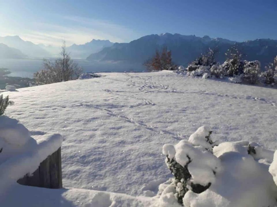 Le Chardonne - Designer's home with a stunning lake and mountain view Apartment in Canton of Vaud