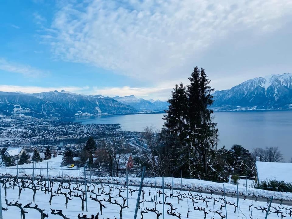 Le Chardonne - Designer's home with a stunning lake and mountain view Apartment in Canton of Vaud