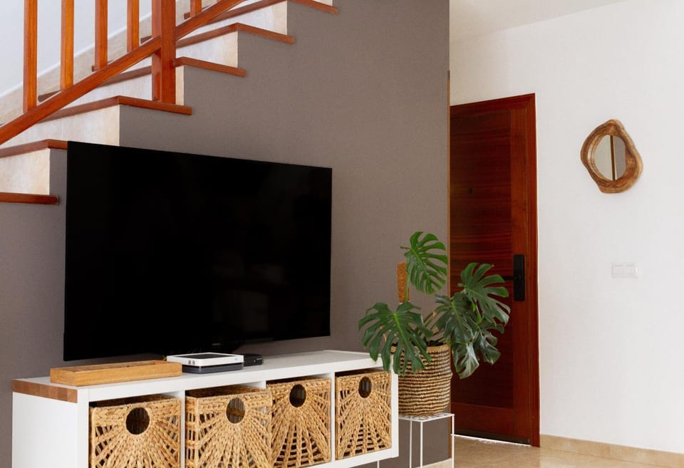 TV and multimedia