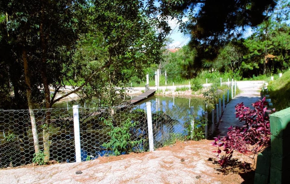 Natural landscape, Lake view