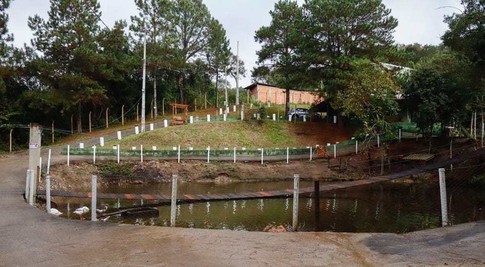 Lake view