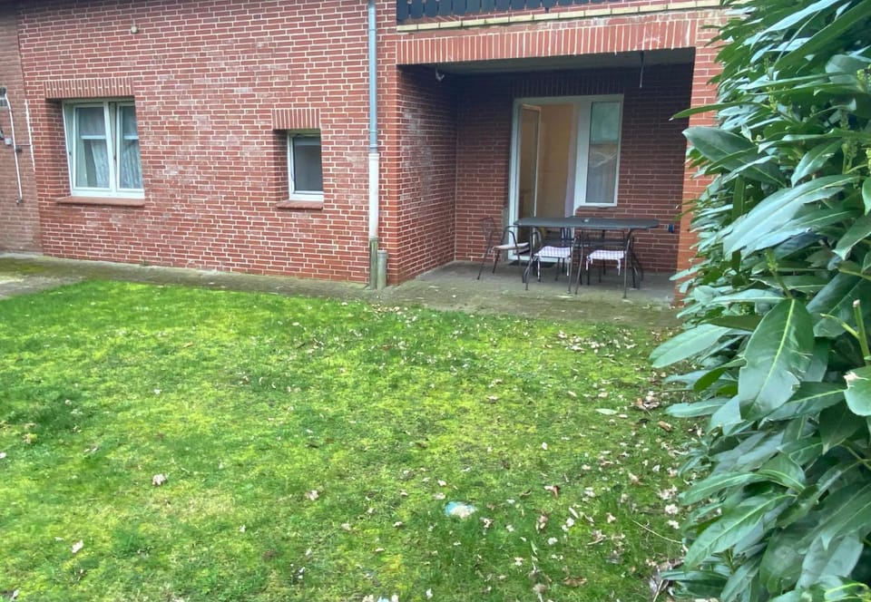 Patio, Garden, Garden view