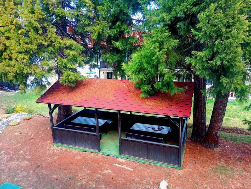 Кедър 5 Villa in Bulgaria
