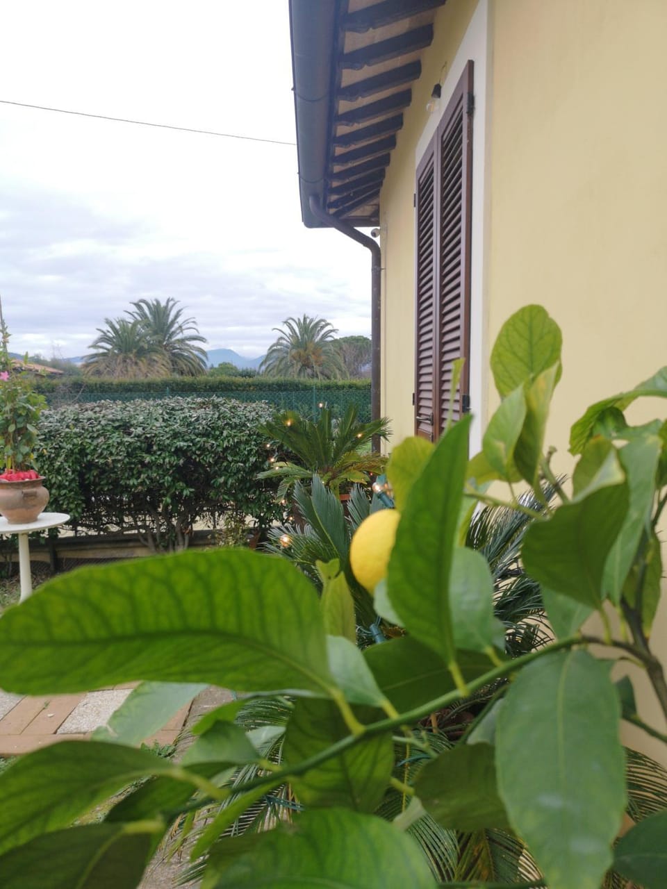 Garden, Garden view