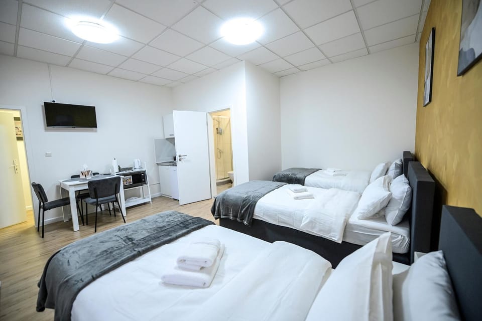 Bed, TV and multimedia, Kitchen or kitchenette, Photo of the whole room, Bedroom, hair dresser, towels