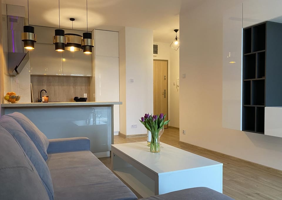 Kitchen or kitchenette, Living room, Seating area