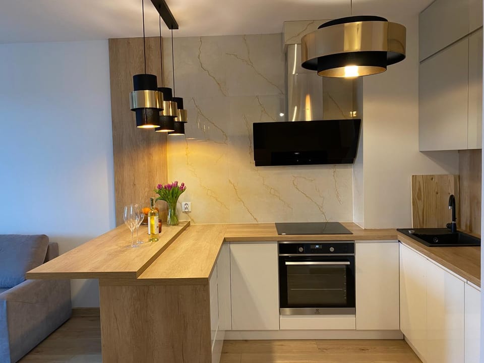 Kitchen or kitchenette, dishwasher, minibar, pet friendly, stove