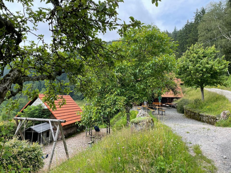 Schmalzerhisli Apartment in Ortenau