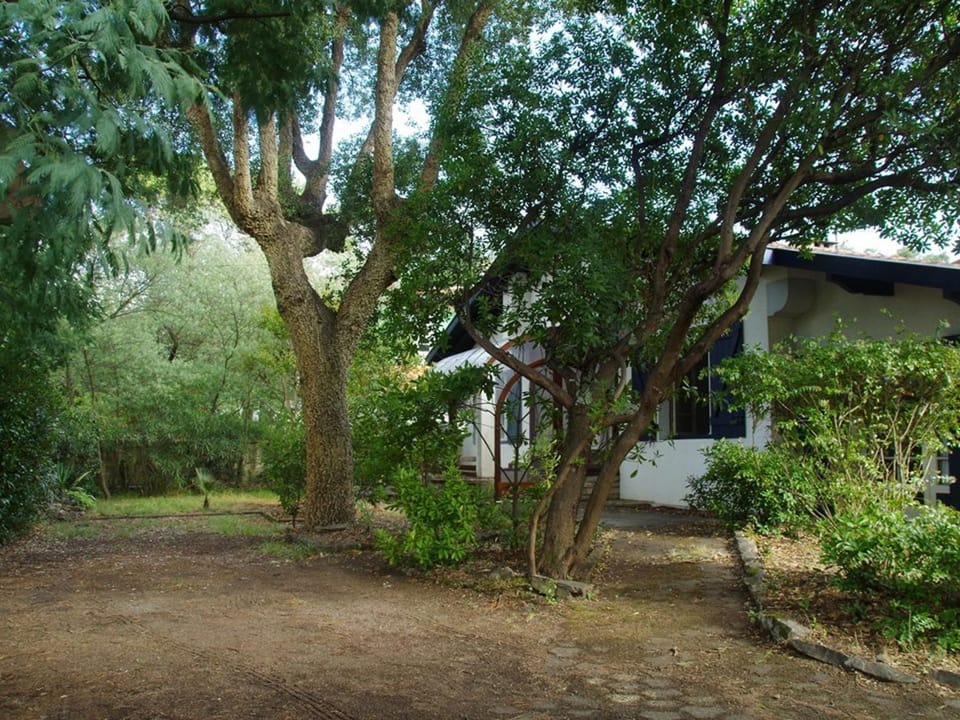 Grande maison landaise près du port de Capbreton, 4 chambres, jardin, animaux admis - FR-1-413-232 House in Hossegor