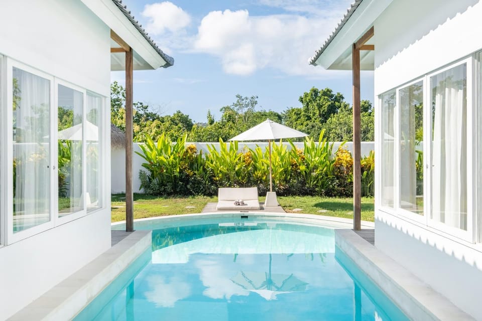 Garden, Pool view, Swimming pool, sunbed