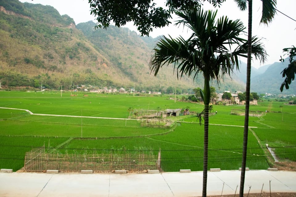 Natural landscape