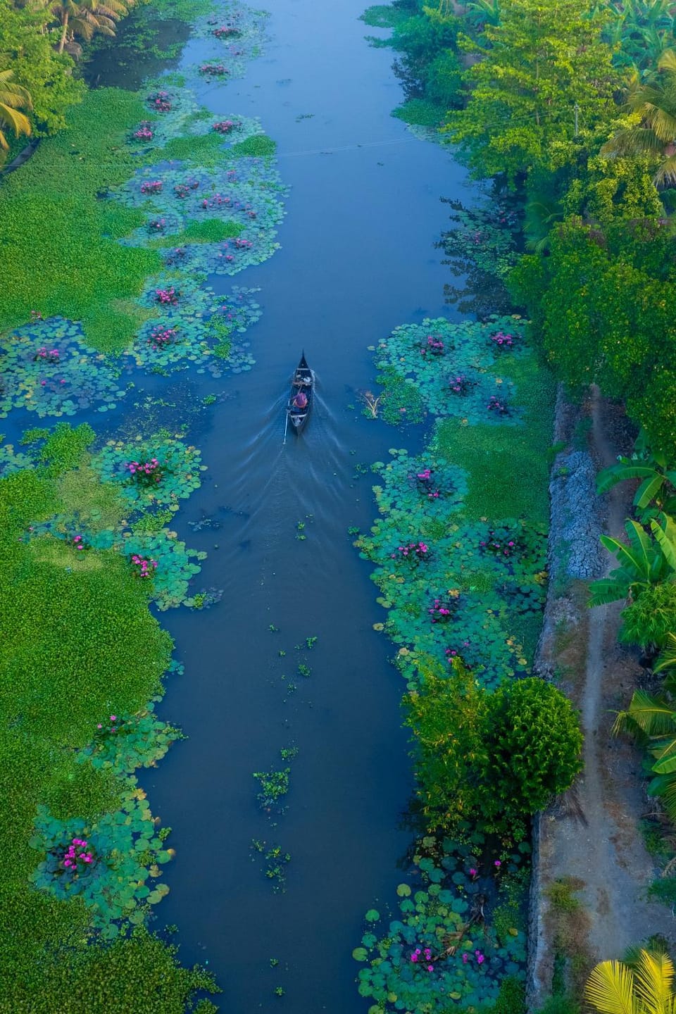 Activities, River view