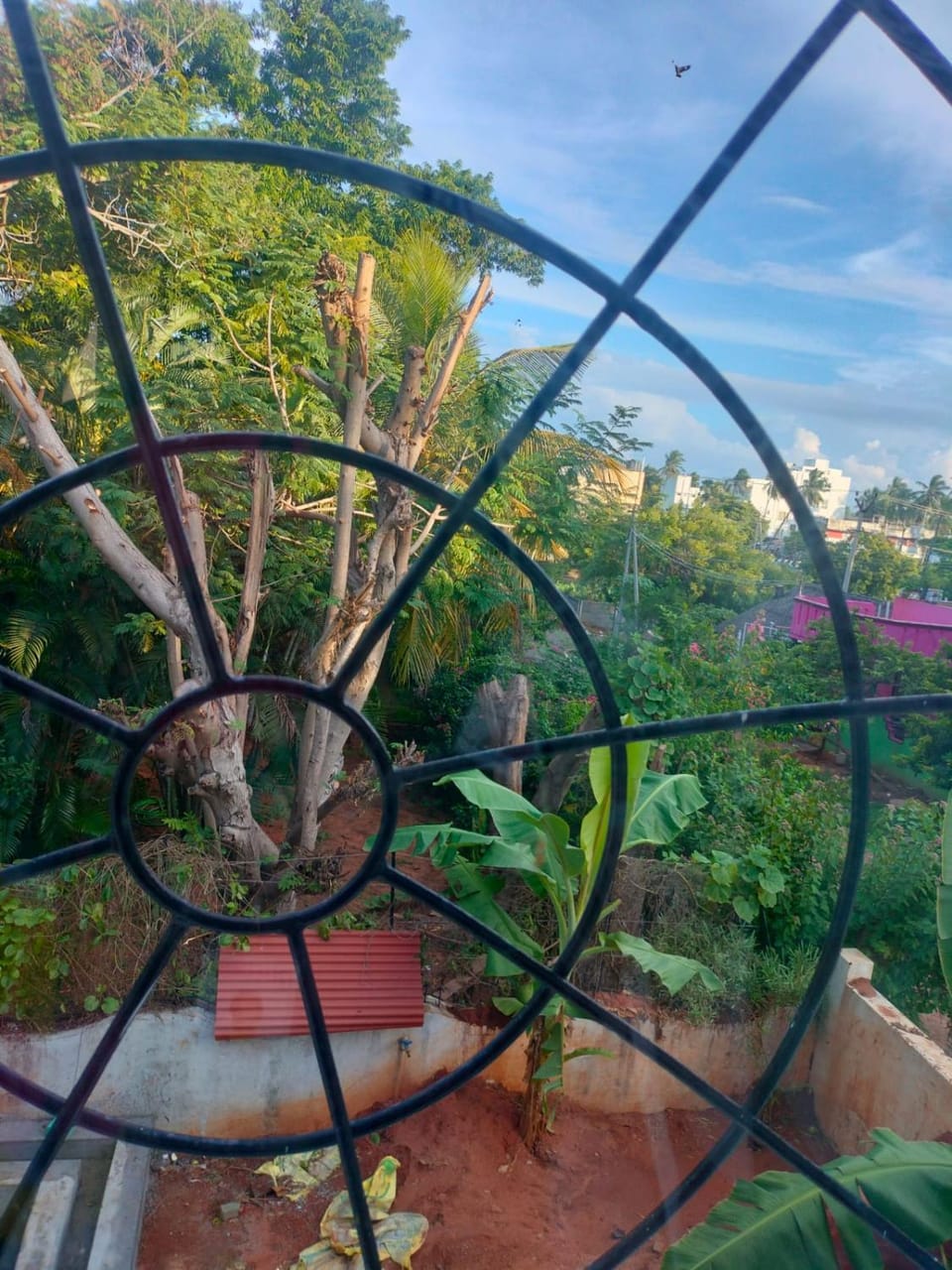 Day, Garden view