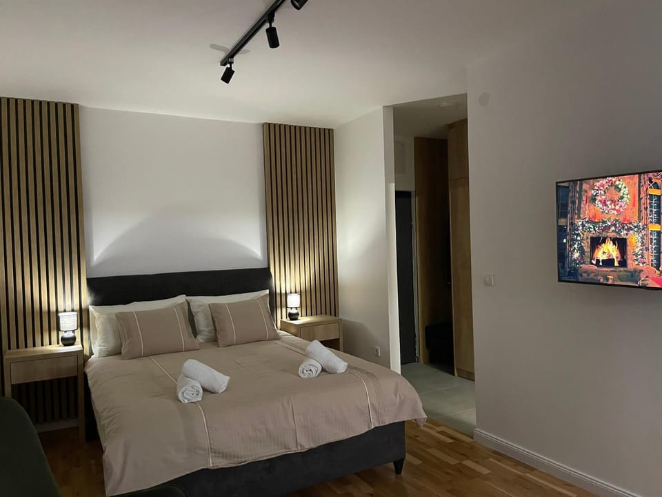 Apartman Aleksandar Apartment in Novi Sad