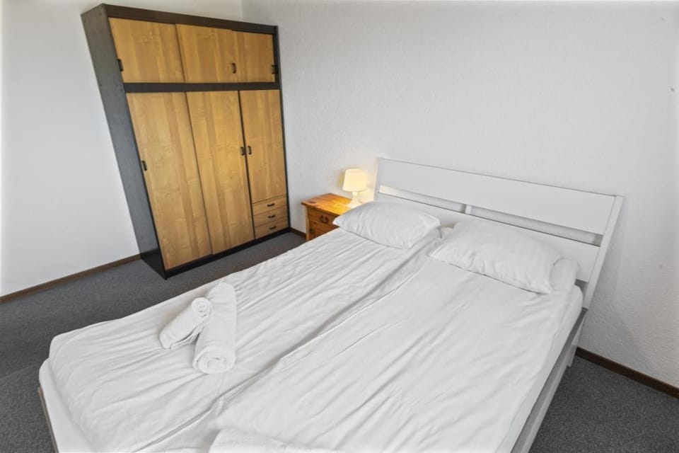 Logement spacieux et charmant Apartment in Nendaz
