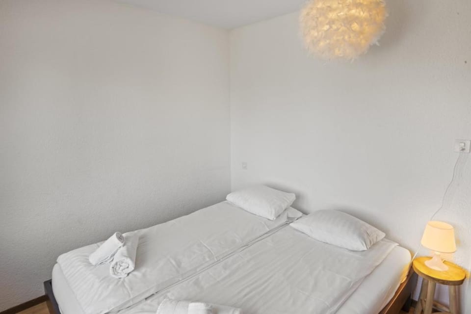 Logement spacieux et charmant Apartment in Nendaz