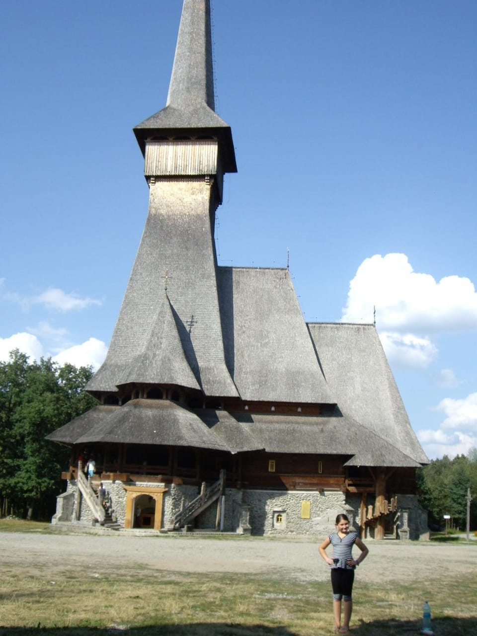 pensiunea Montana Sapinta Bed and Breakfast in Romania