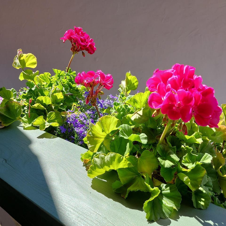 Ferienwohnungen Schneiderhäusl inkl. Chiemgaukarte Apartment in Ruhpolding
