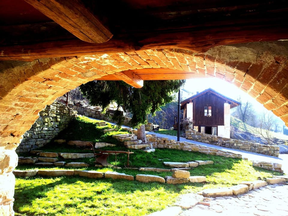 Garden, Garden view, Street view