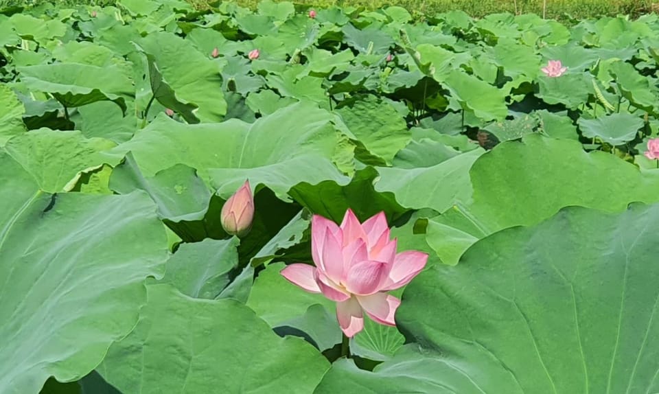Nice homestay in Ninh Binh Apartment in Laos