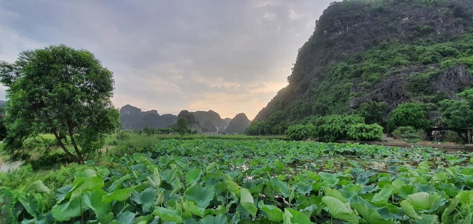 Nice homestay in Ninh Binh Apartment in Laos