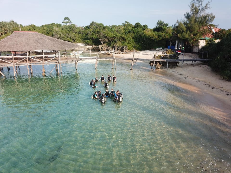 Diving