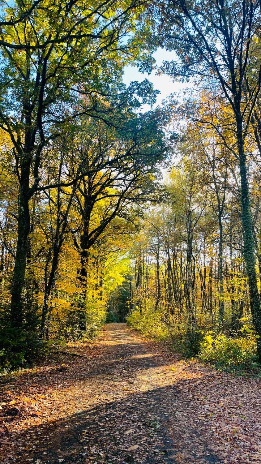 Day, Natural landscape, Autumn