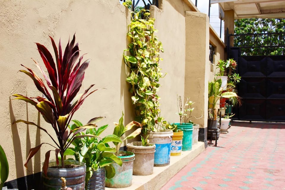 Day, Garden, Garden view