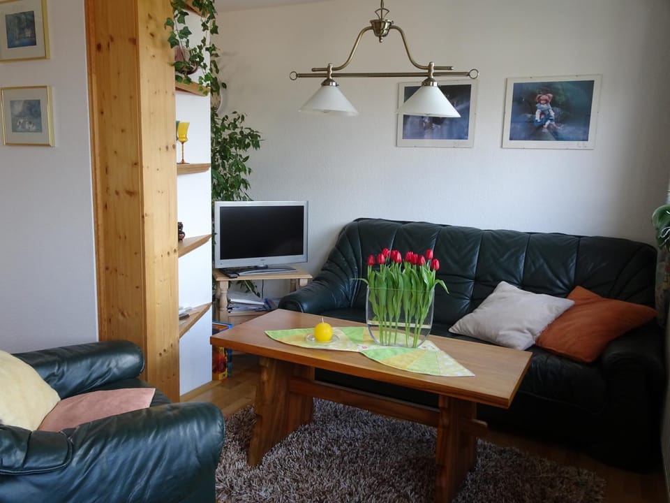 Living room, Photo of the whole room