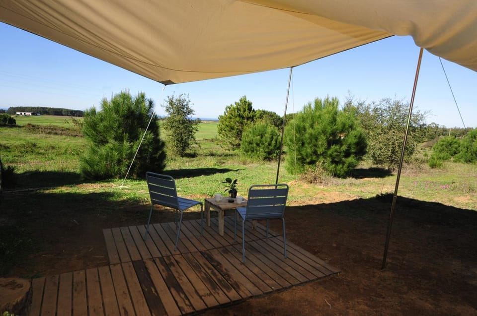Patio, Garden, Garden view