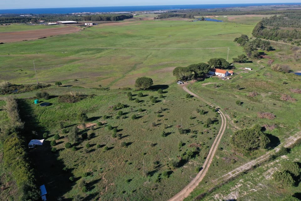 Natural landscape, Bird's eye view, Garden, Garden