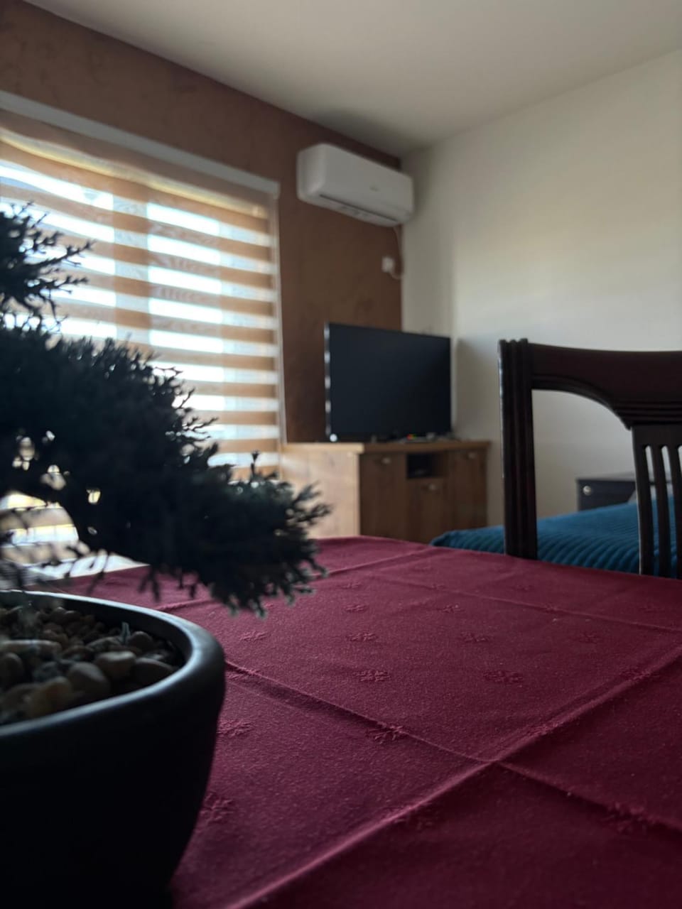 Apartman Ika 1N Apartment in Serbia