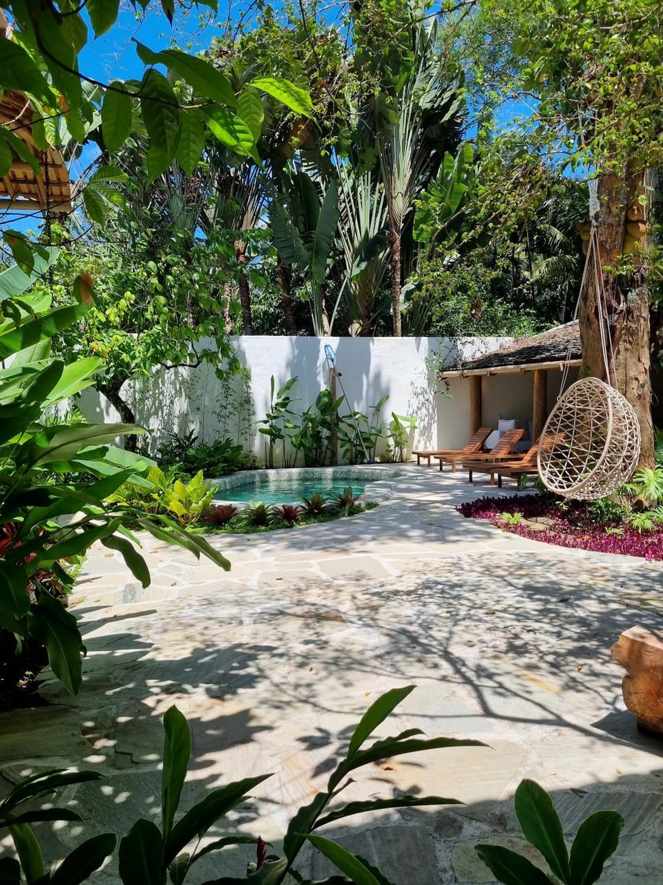 Garden, Swimming pool, sunbed