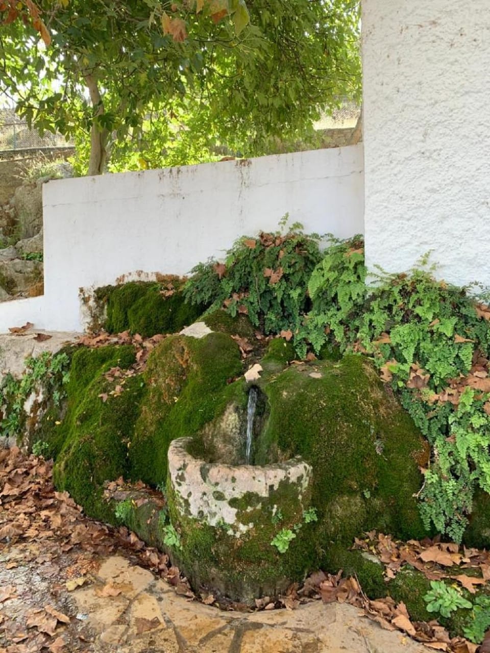 Nearby landmark