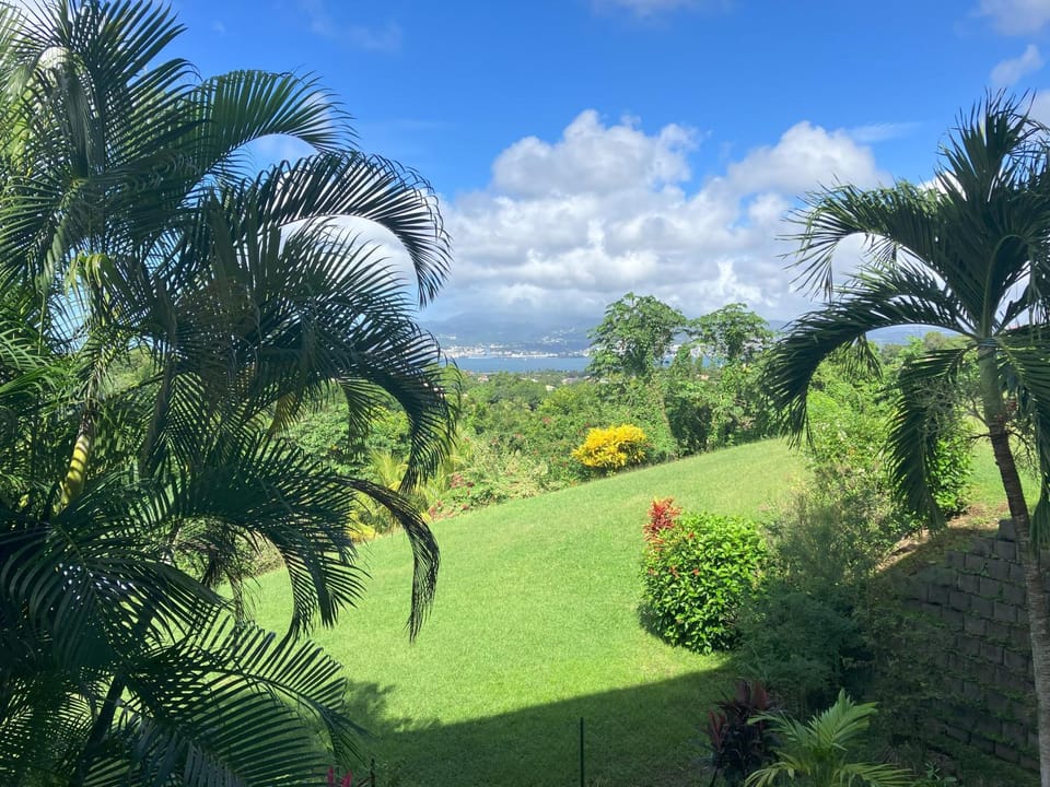 View (from property/room)